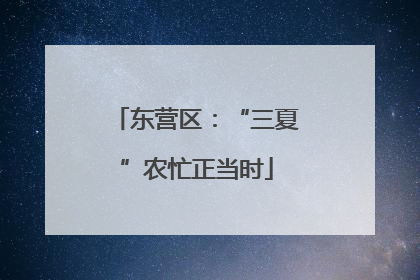 东营区：“三夏”农忙正当时