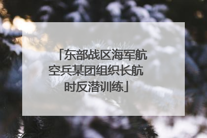 东部战区海军航空兵某团组织长航时反潜训练