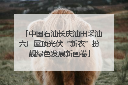 中国石油长庆油田采油六厂屋顶光伏“新衣”扮靓绿色发展新画卷