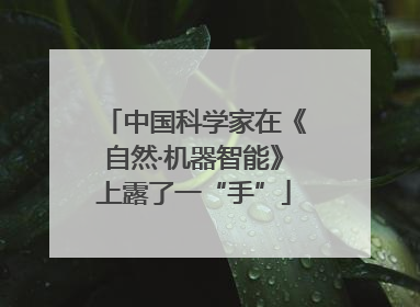 中国科学家在《自然·机器智能》上露了一“手”