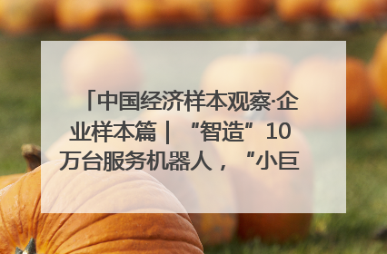 中国经济样本观察·企业样本篇｜“智造”10万台服务机器人，“小巨人”擎朗有大梦想