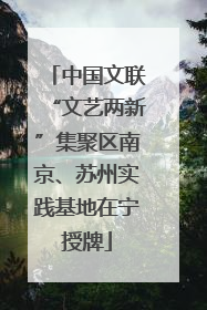 中国文联“文艺两新”集聚区南京、苏州实践基地在宁授牌