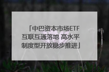 中巴资本市场ETF互联互通落地 高水平制度型开放稳步推进
