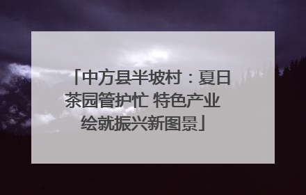 中方县半坡村：夏日茶园管护忙 特色产业绘就振兴新图景