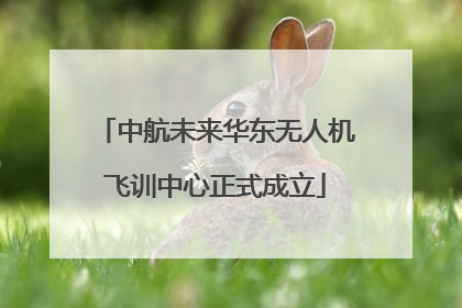 中航未来华东无人机飞训中心正式成立