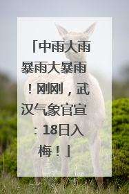 中雨大雨暴雨大暴雨！刚刚，武汉气象官宣：18日入梅！