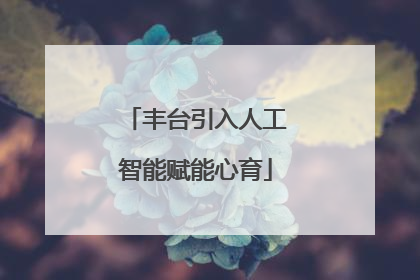 丰台引入人工智能赋能心育