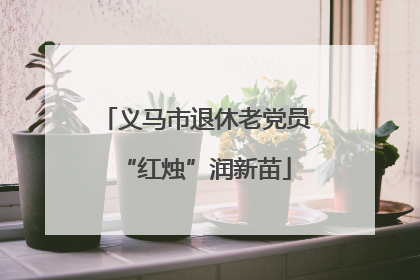 义马市退休老党员“红烛”润新苗