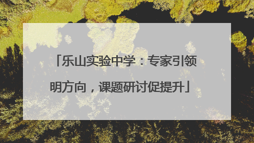 乐山实验中学：专家引领明方向，课题研讨促提升