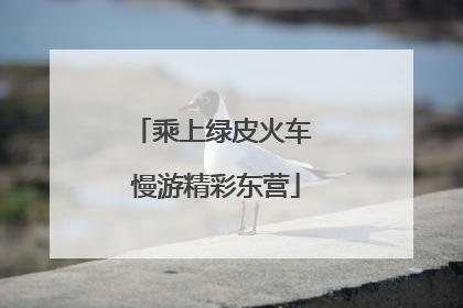 乘上绿皮火车 慢游精彩东营