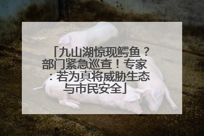 九山湖惊现鳄鱼？部门紧急巡查！专家：若为真将威胁生态与市民安全