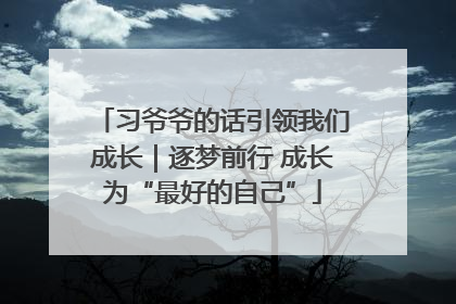 习爷爷的话引领我们成长｜逐梦前行 成长为“最好的自己”