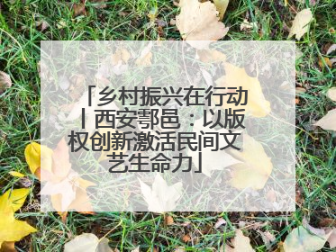 乡村振兴在行动丨西安鄠邑：以版权创新激活民间文艺生命力