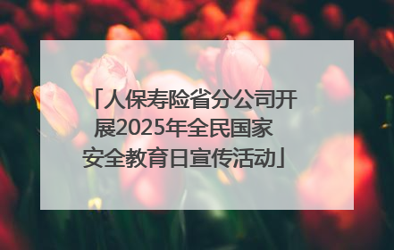 人保寿险省分公司开展2025年全民国家安全教育日宣传活动
