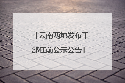 云南两地发布干部任前公示公告