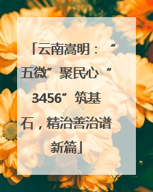 云南嵩明：“五微”聚民心“3456”筑基石，精治善治谱新篇