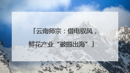 云南师宗：借电驭风，鲜花产业“破圈出海”