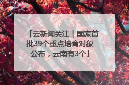 云新闻关注｜国家首批39个重点培育对象公布，云南有3个