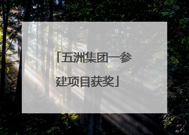 五洲集团一参建项目获奖