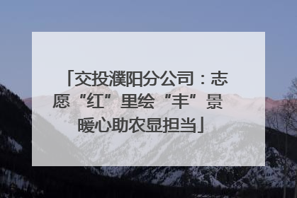交投濮阳分公司：志愿“红”里绘“丰”景 暖心助农显担当