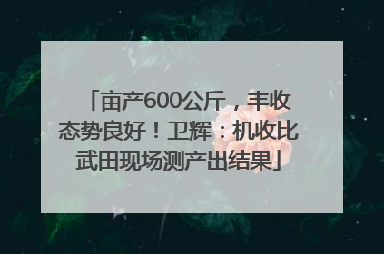 亩产600公斤，丰收态势良好！卫辉：机收比武田现场测产出结果