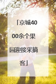 京城4000余个果园迎接采摘客