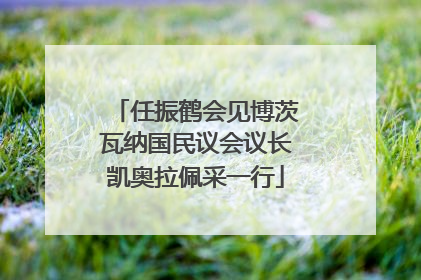 任振鹤会见博茨瓦纳国民议会议长凯奥拉佩采一行