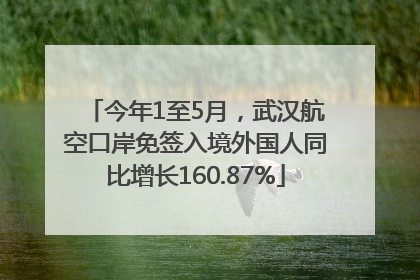 今年1至5月，武汉航空口岸免签入境外国人同比增长160.87%