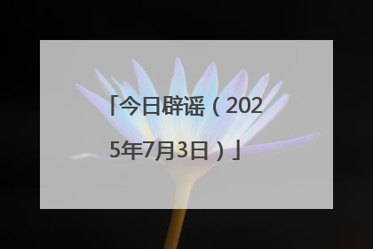 今日辟谣（2025年7月3日）