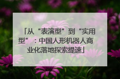 从“表演型”到“实用型”：中国人形机器人商业化落地探索提速