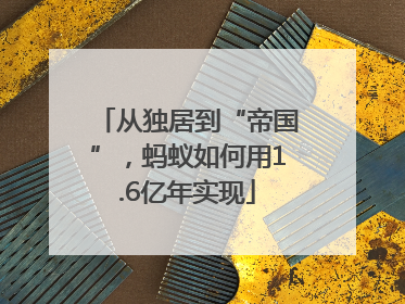 从独居到“帝国”，蚂蚁如何用1.6亿年实现
