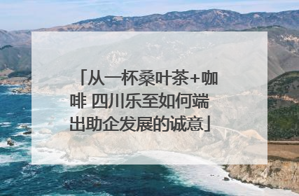 从一杯桑叶茶+咖啡 四川乐至如何端出助企发展的诚意