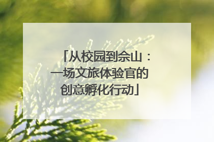 从校园到佘山：一场文旅体验官的创意孵化行动