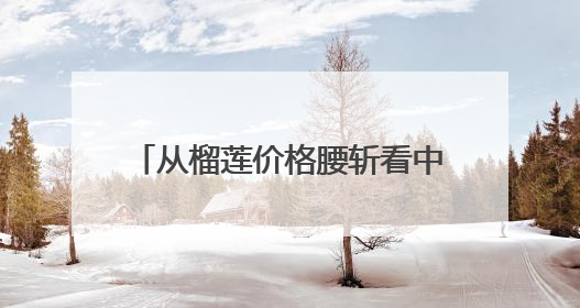 从榴莲价格腰斩看中老铁路的多重价值