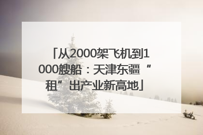 从2000架飞机到1000艘船：天津东疆“租”出产业新高地