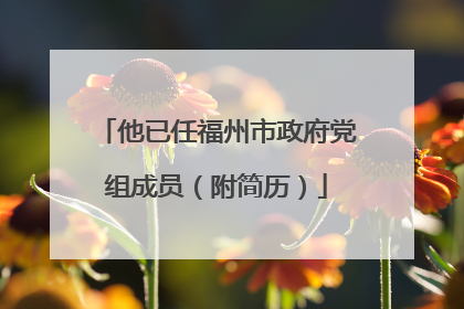 他已任福州市政府党组成员（附简历）