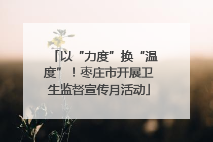 以“力度”换“温度”！枣庄市开展卫生监督宣传月活动