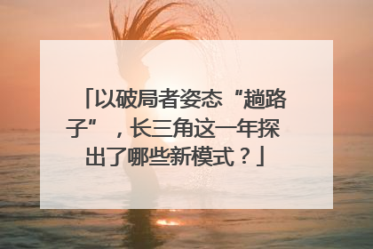以破局者姿态“趟路子”，长三角这一年探出了哪些新模式？