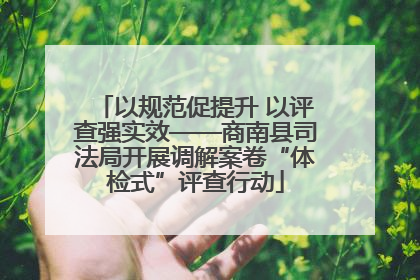 以规范促提升 以评查强实效——商南县司法局开展调解案卷“体检式”评查行动