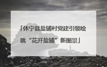 休宁县盐铺村党建引领绘就“花开盐铺”新图景