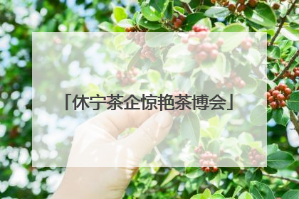 休宁茶企惊艳茶博会