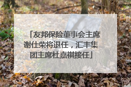 友邦保险董事会主席谢仕荣将退任，汇丰集团主席杜嘉祺接任