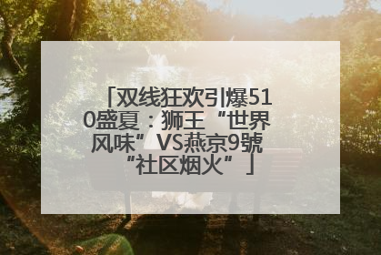 双线狂欢引爆510盛夏：狮王“世界风味”VS燕京9號“社区烟火”