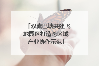双流巴塘共建飞地园区打造跨区域产业协作示范