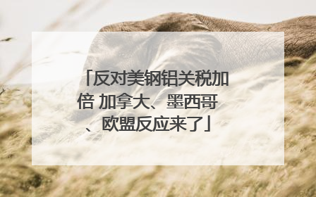 反对美钢铝关税加倍 加拿大、墨西哥、欧盟反应来了