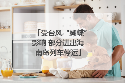 受台风“蝴蝶”影响 部分进出海南岛列车停运