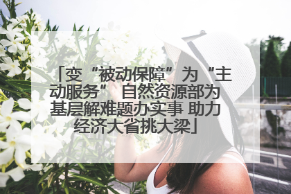 变“被动保障”为“主动服务” 自然资源部为基层解难题办实事 助力经济大省挑大梁