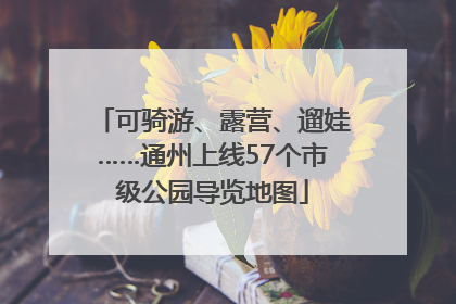 可骑游、露营、遛娃……通州上线57个市级公园导览地图