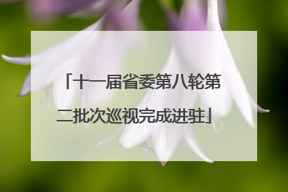 十一届省委第八轮第二批次巡视完成进驻