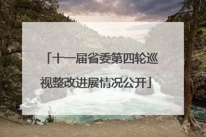 十一届省委第四轮巡视整改进展情况公开